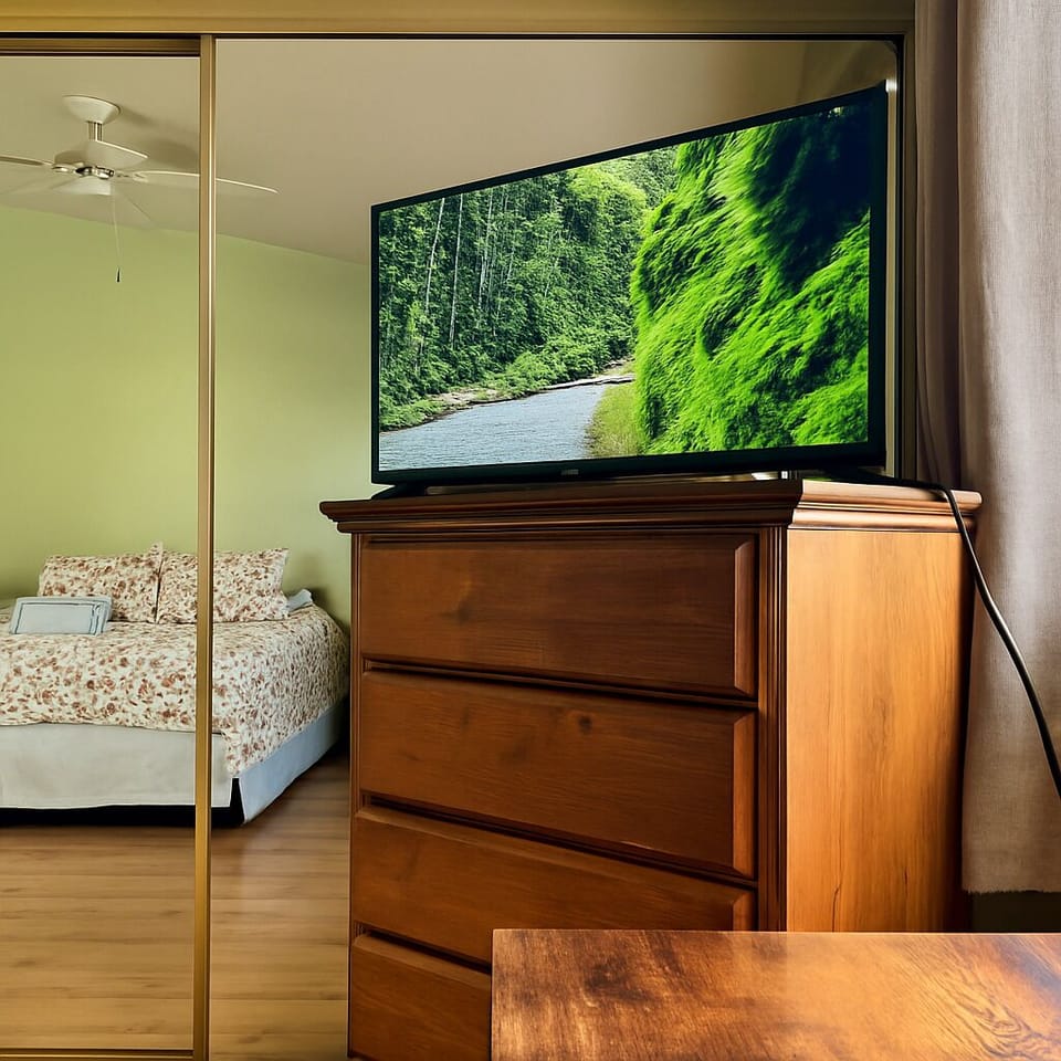 Presidential Room | Desk, laptop workspace, iron/ironing board, free WiFi