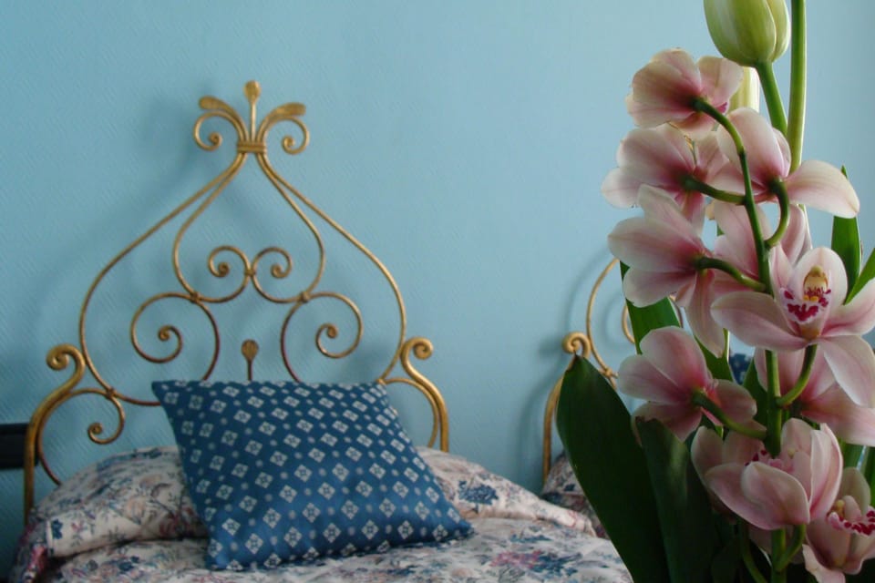 Standard Double or Twin Room | 1 bedroom, premium bedding, down comforters, Select Comfort beds