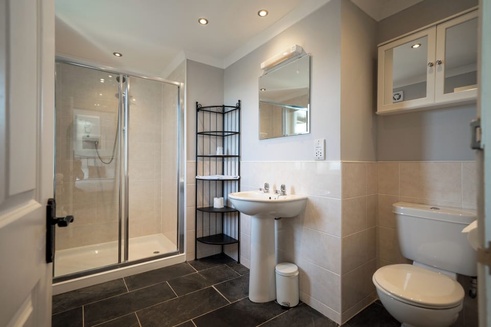 Deluxe Double Room | Bathroom | Shower, free toiletries, hair dryer, towels