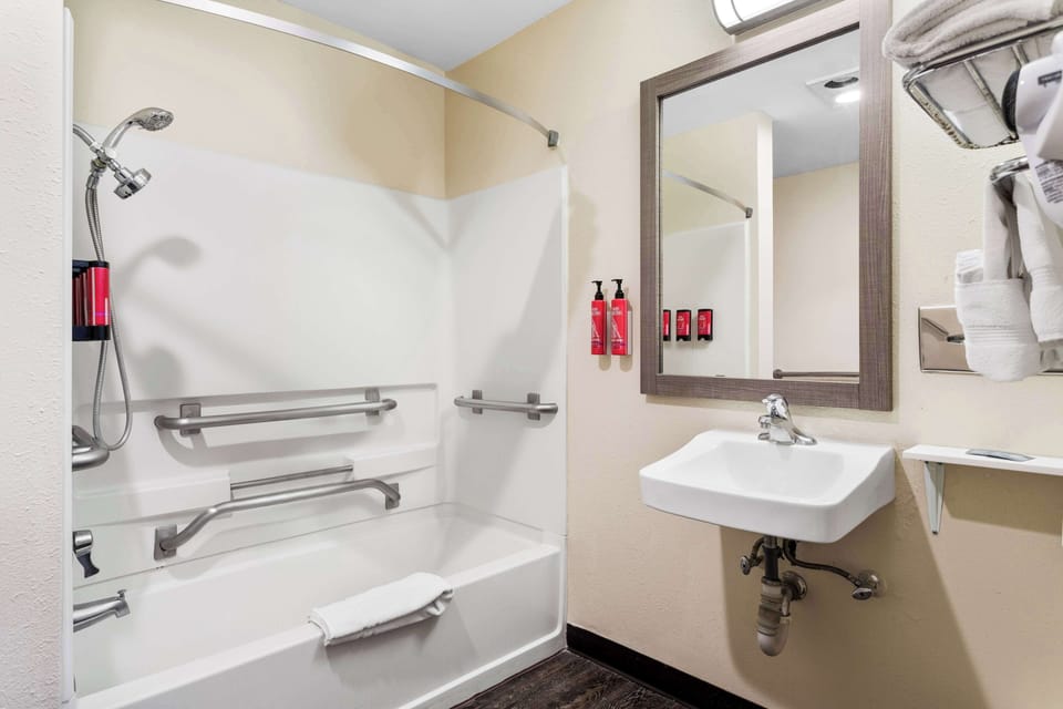 Standard Room, 1 King Bed, Accessible, Bathtub | Bathroom | Combined shower/tub, hydromassage showerhead, eco-friendly toiletries