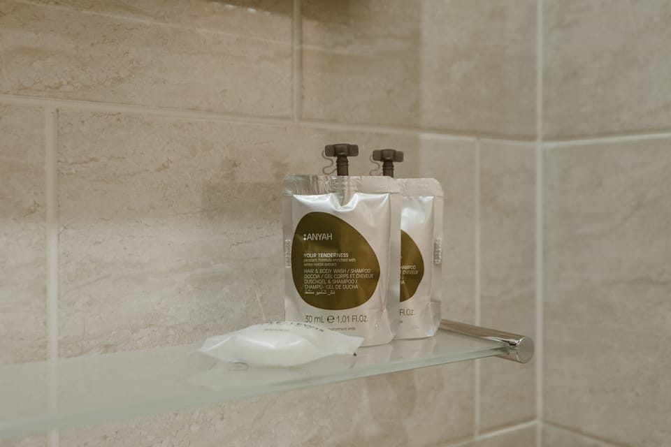 Double Room | Bathroom | Shower, hair dryer, towels