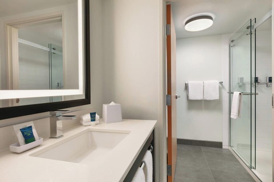 Traditional Room, 1 King Bed (Mobility Accessible, Roll-In Shower) | Bathroom | Free toiletries, hair dryer, towels