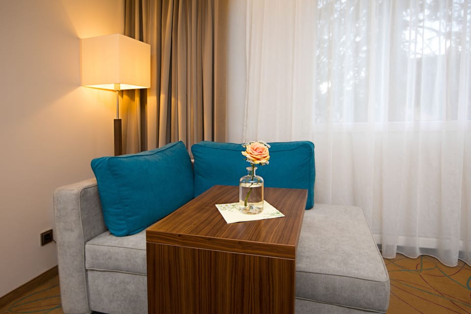 Premium Room, Non Smoking, Allergy Friendly | Room amenity