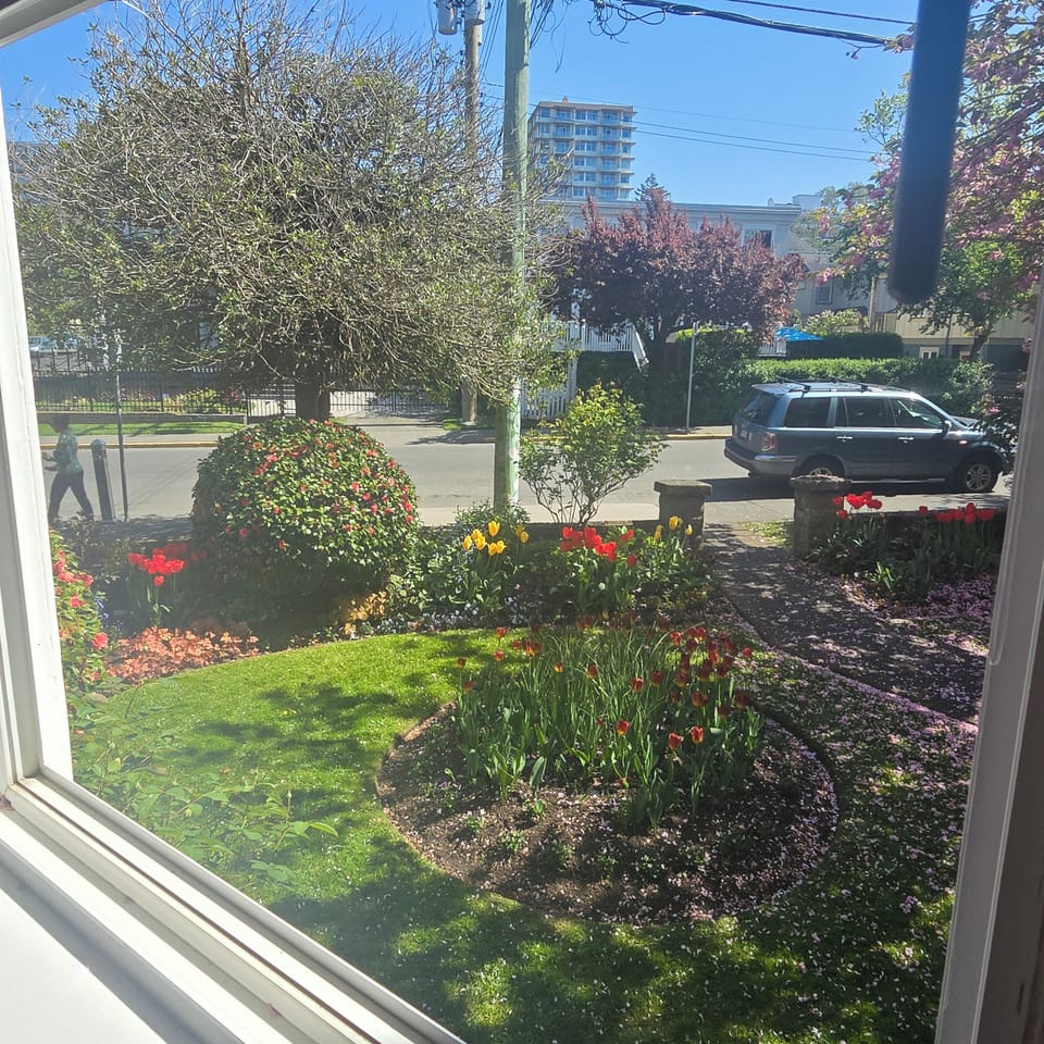 View from property