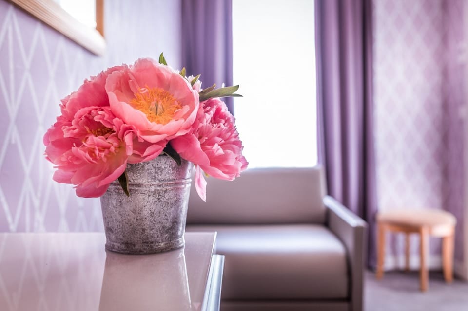 Single Room | Premium bedding, minibar, in-room safe, blackout drapes