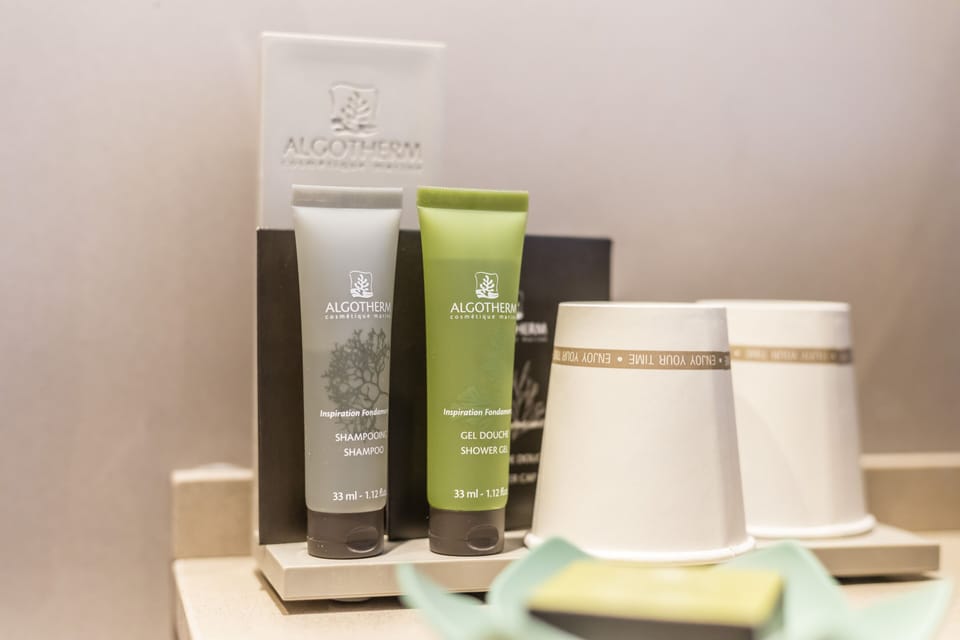Eco-friendly toiletries, hair dryer, slippers, bidet