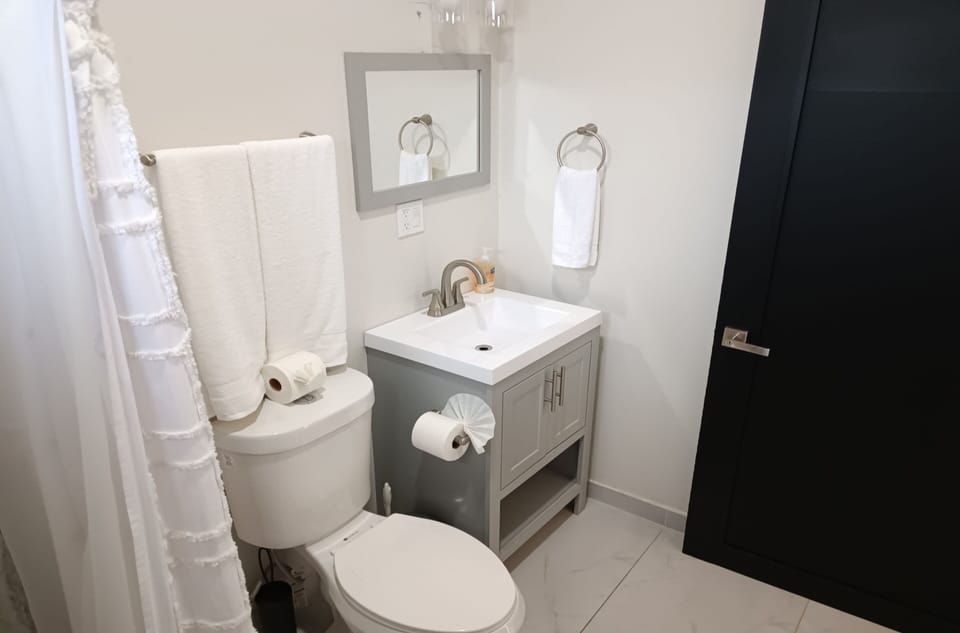 Deluxe Apartment | Bathroom | Shower, towels