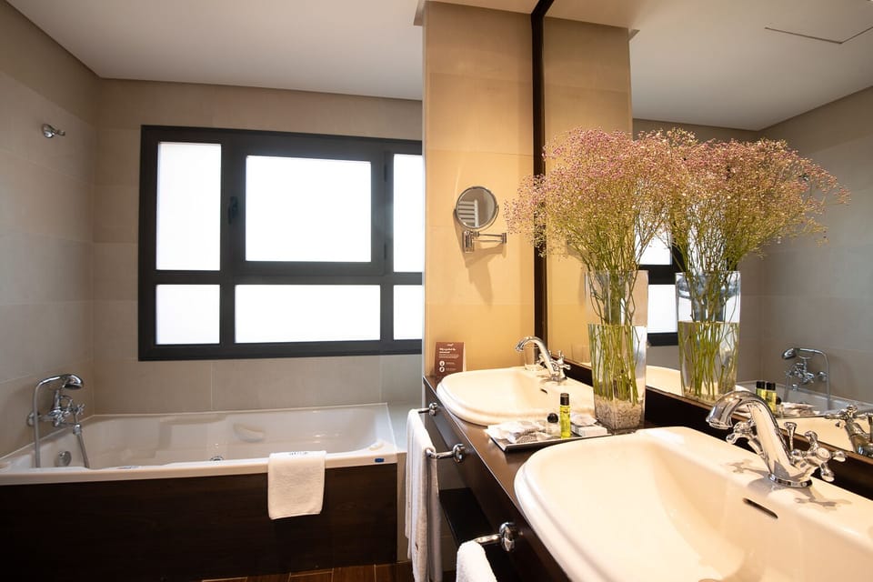 Combined shower/tub, free toiletries, hair dryer, towels