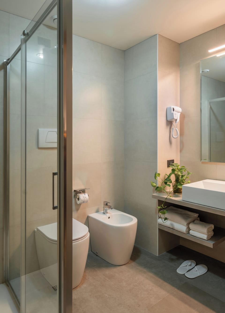 Hair dryer, bidet, towels, soap