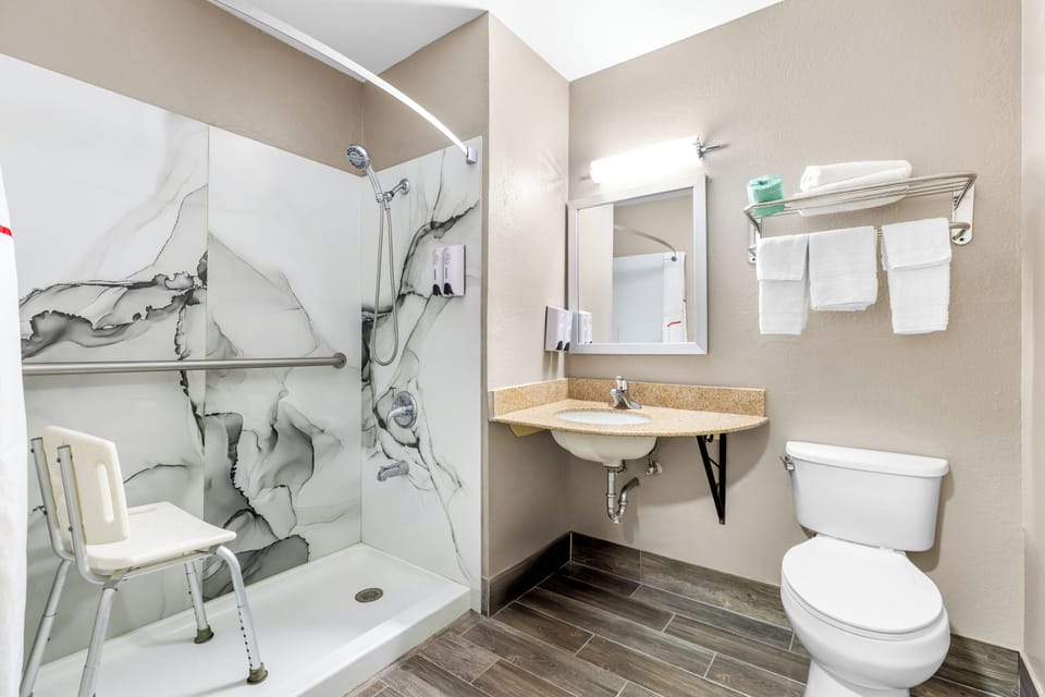 Deluxe Room, 1 Queen Bed, Accessible, Non Smoking (Roll-In Shower) | Bathroom | Free toiletries, towels