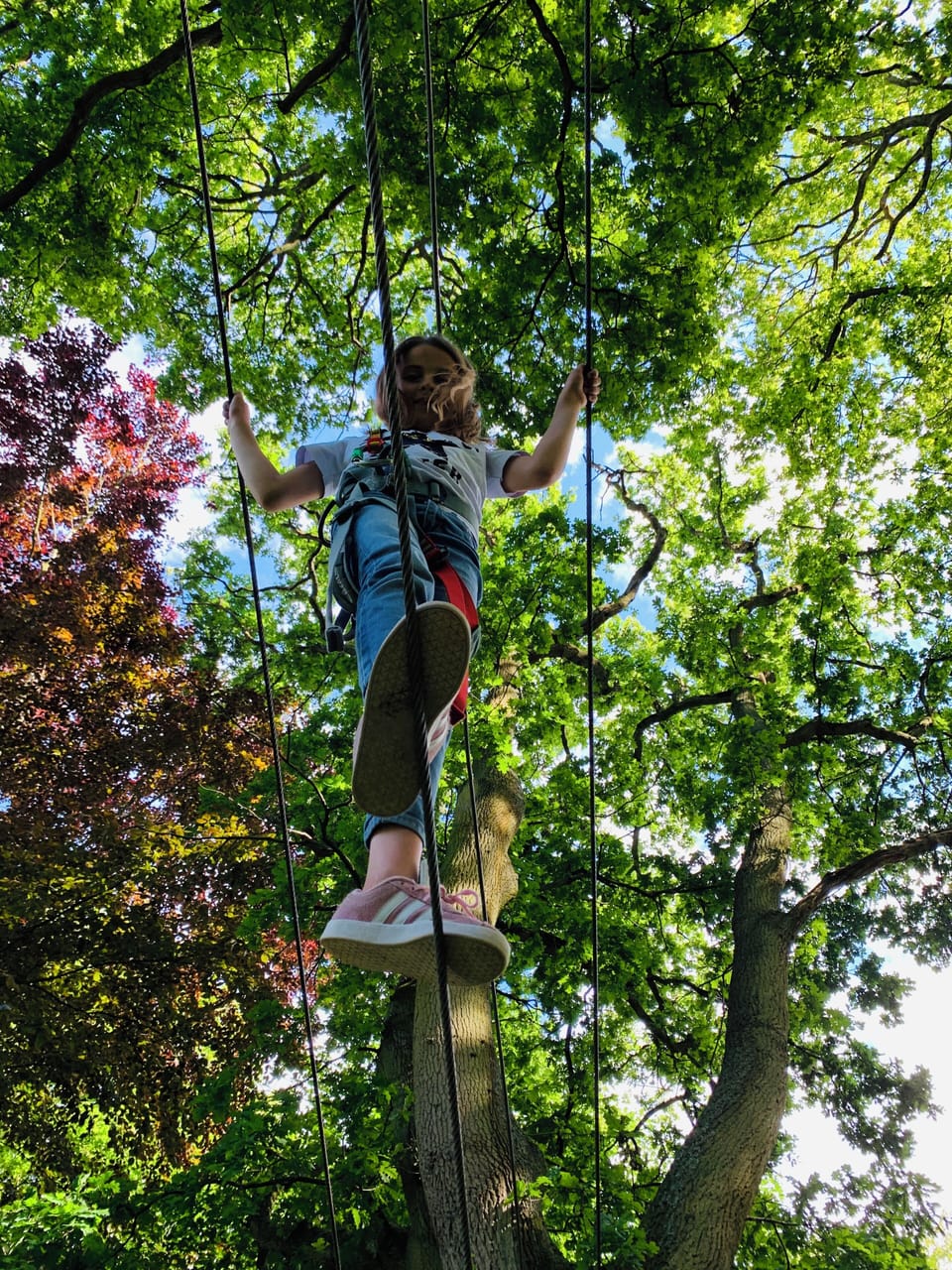 Etretat Aventure Treehouse in Normandy