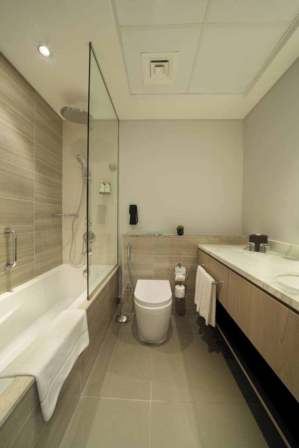 Shower, free toiletries, hair dryer, towels