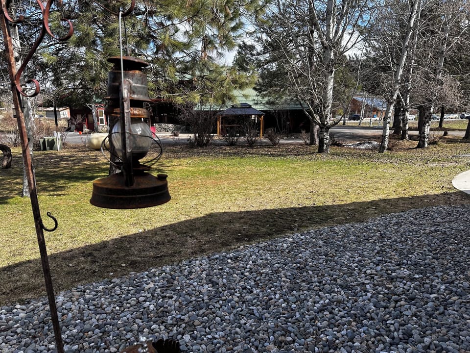 Cabin, 1 King Bed with Sofa bed, Non Smoking, Hot Tub | View from room
