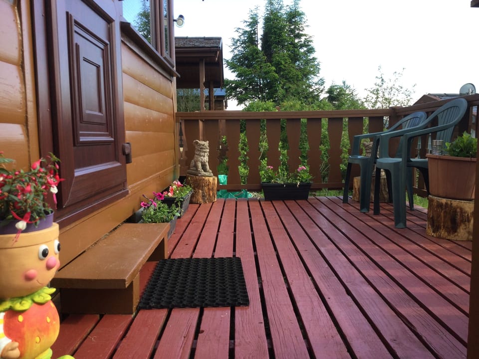 Cabin | Property grounds