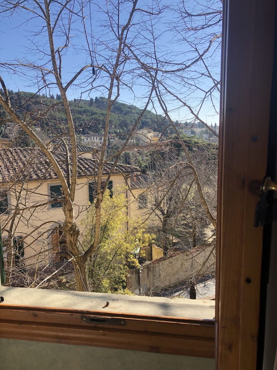 Hill view