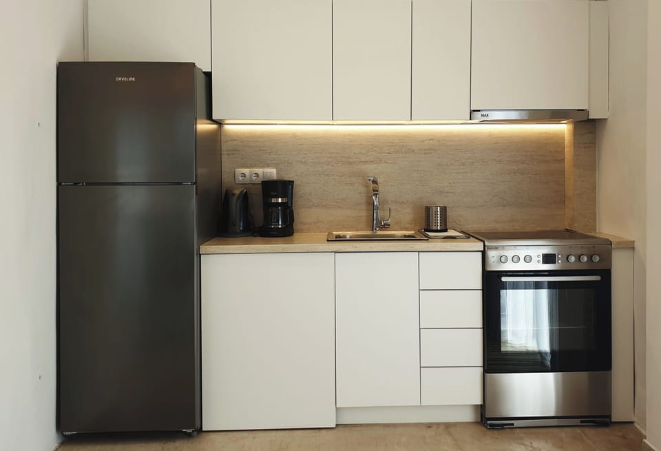 Family Apartment | Private kitchen | Fridge, oven, toaster oven, cookware/dishes/utensils