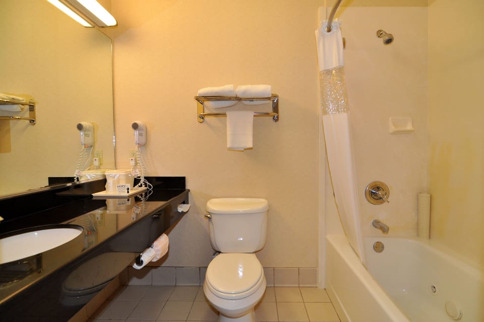 Shower, hydromassage showerhead, free toiletries, hair dryer