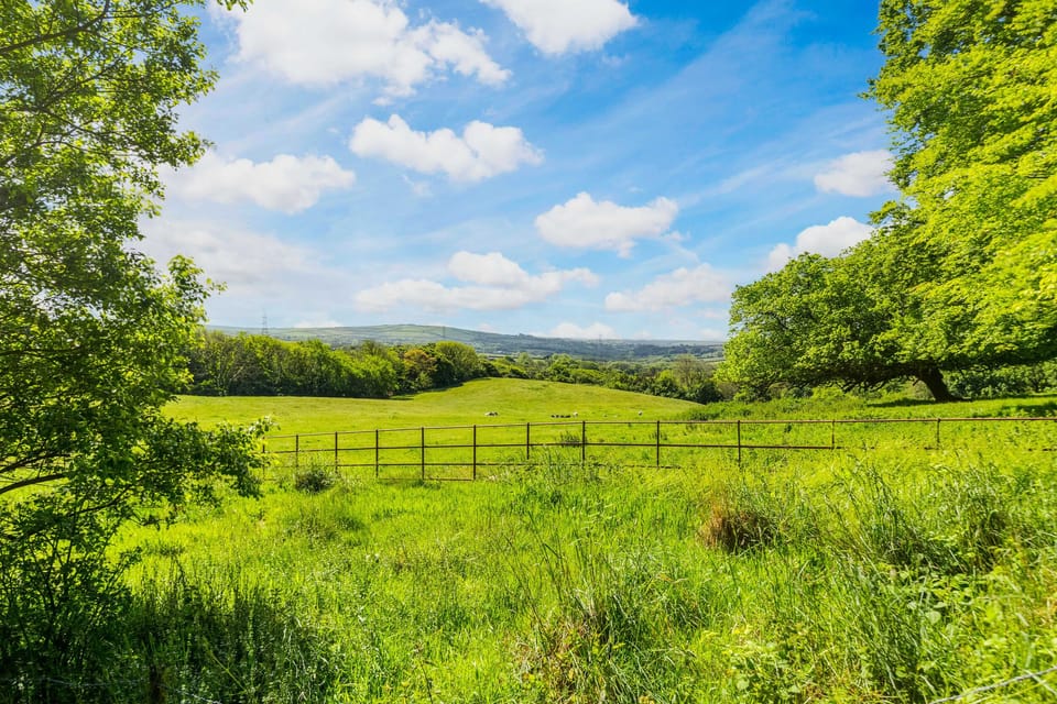 Cottage | Property grounds