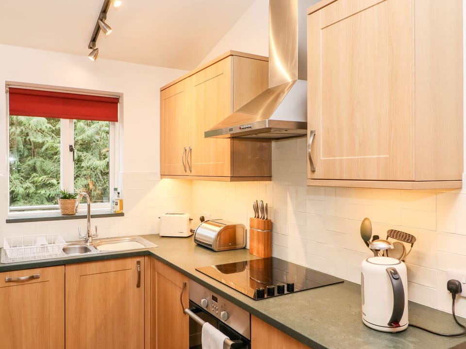 Fridge, dishwasher, cookware/dishes/utensils