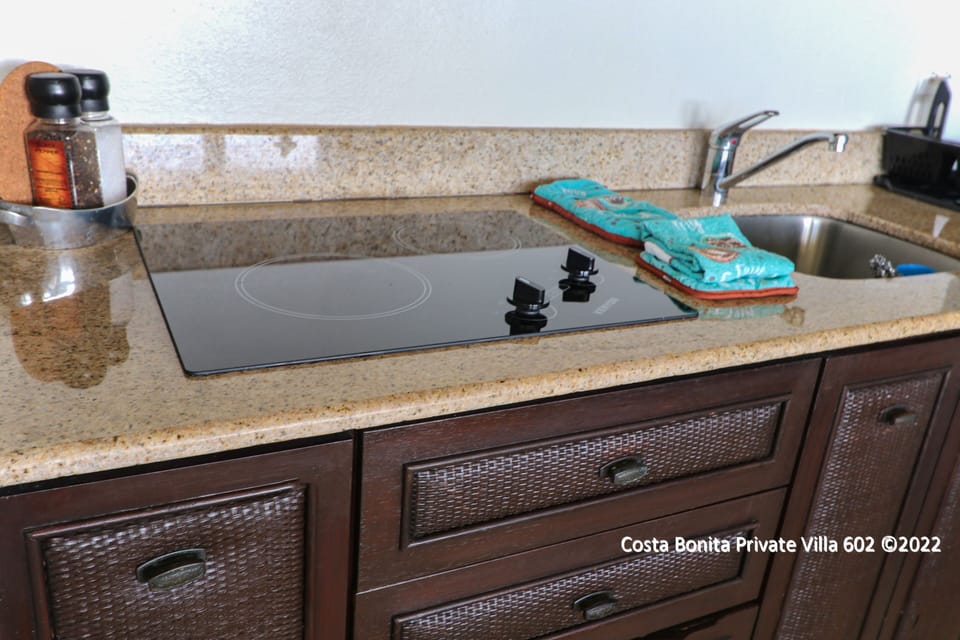 Premium Villa, Private Bathroom (Private Villa 602) | Private kitchen | Coffee/tea maker, mini-fridge