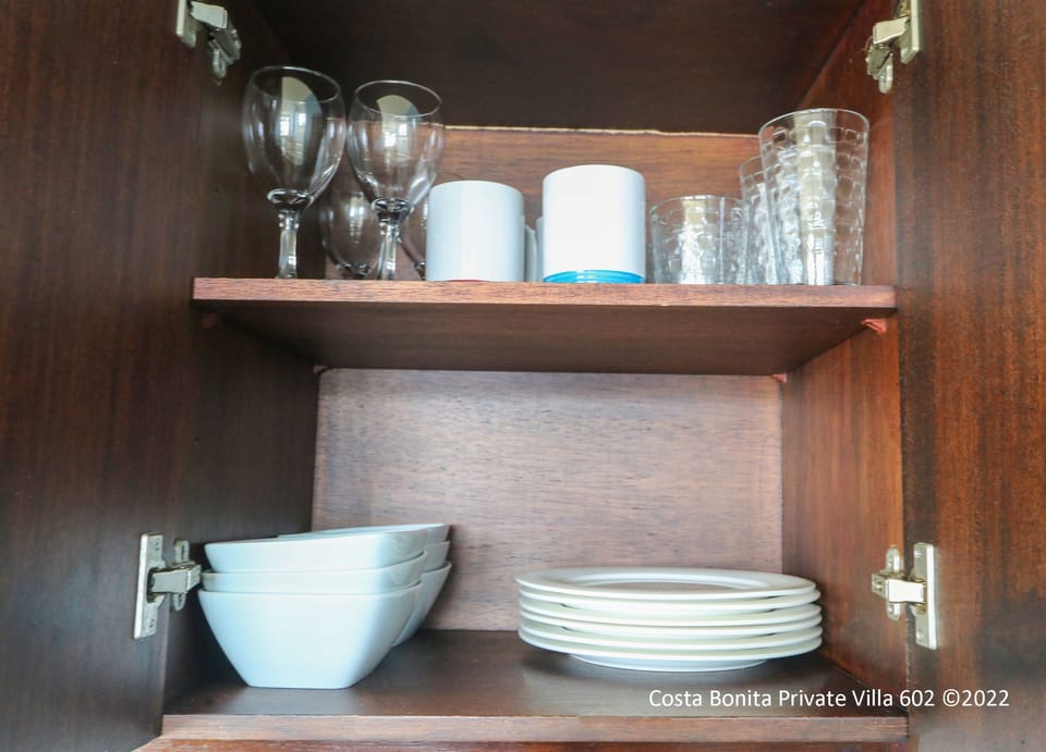 Premium Villa, Private Bathroom (Private Villa 602) | Private kitchen | Coffee/tea maker, mini-fridge
