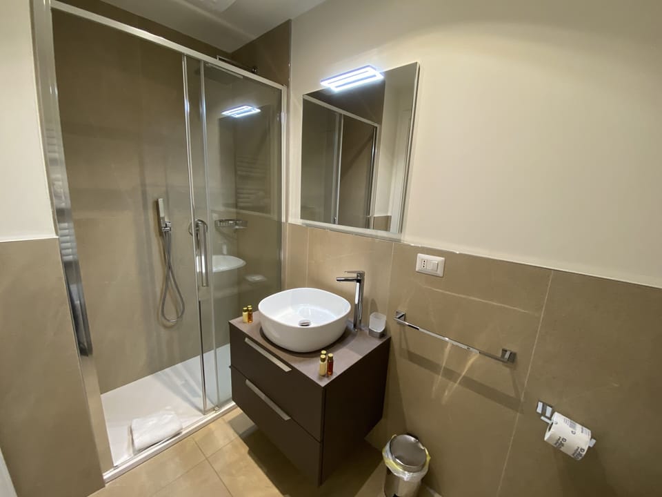 Deluxe Double Room | Bathroom | Shower, rainfall showerhead, hair dryer, bidet