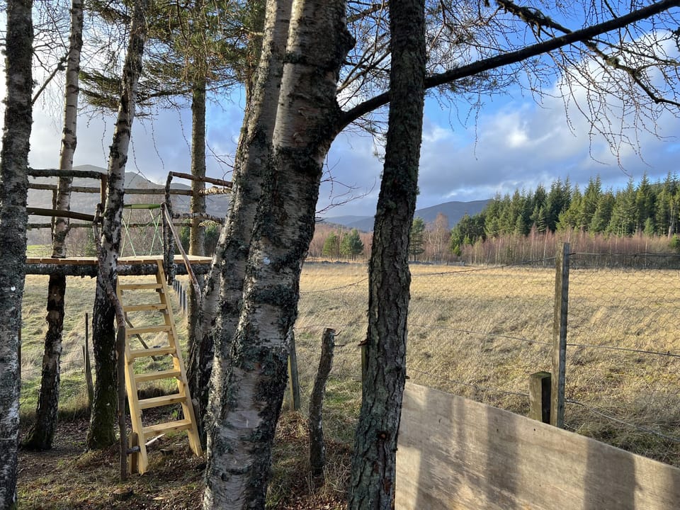 Cottage | Property grounds