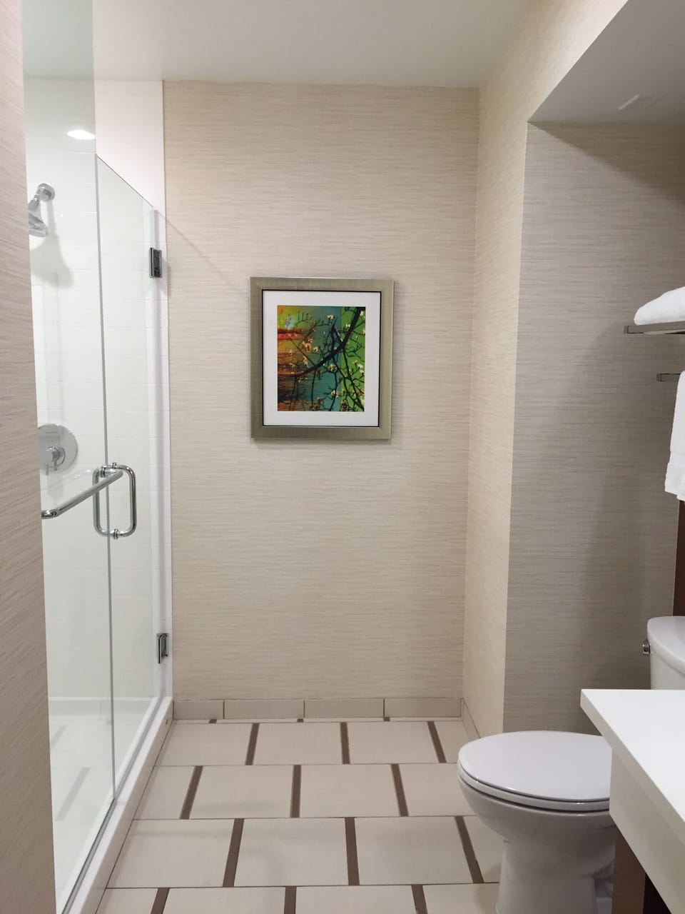 Combined shower/tub, eco-friendly toiletries, hair dryer, towels