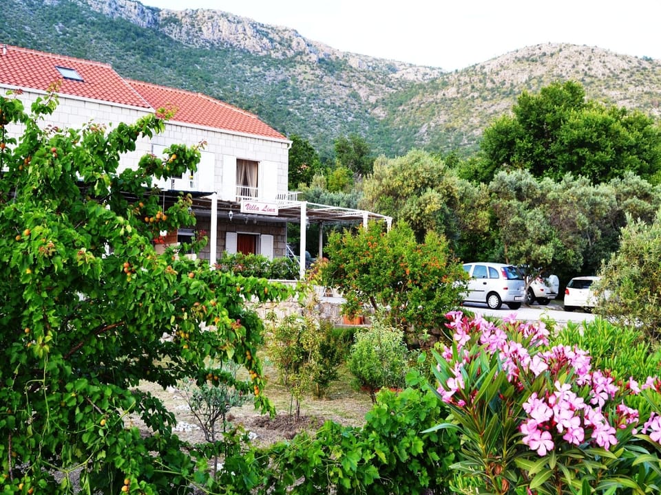 Villa (Five Bedroom Villa with Terrace and S) | Exterior