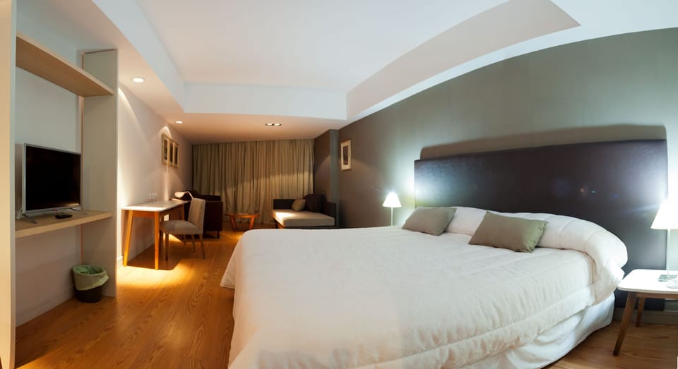 Executive Single Room, 1 King Bed, Mountain View | Down comforters, pillowtop beds, in-room safe, desk