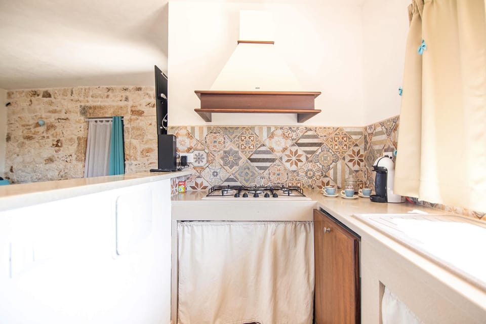 House | Private kitchen | Dishwasher