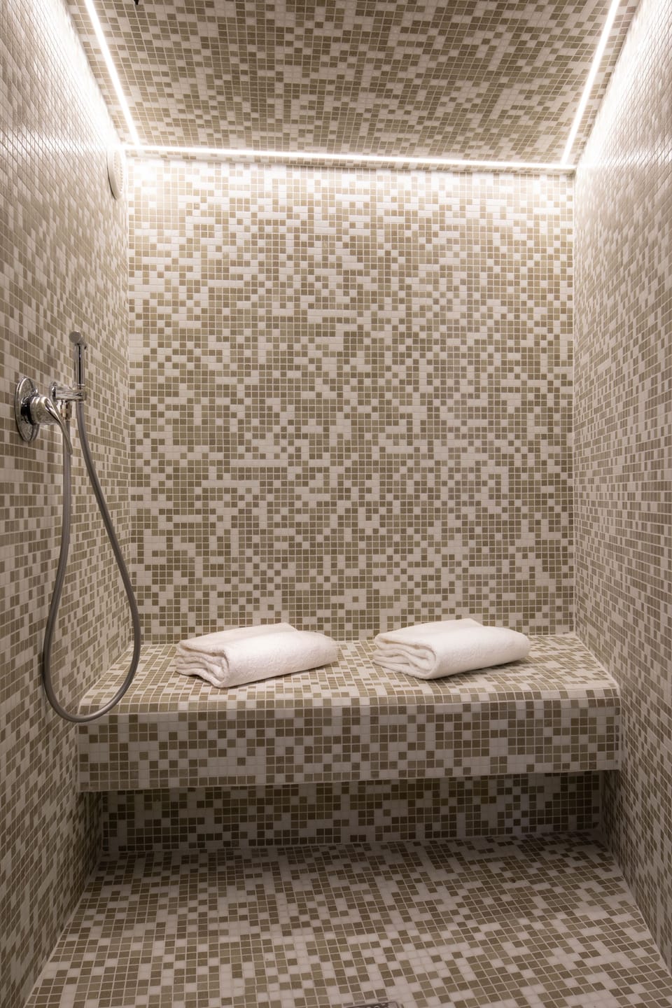 Sauna, hot tub, steam room