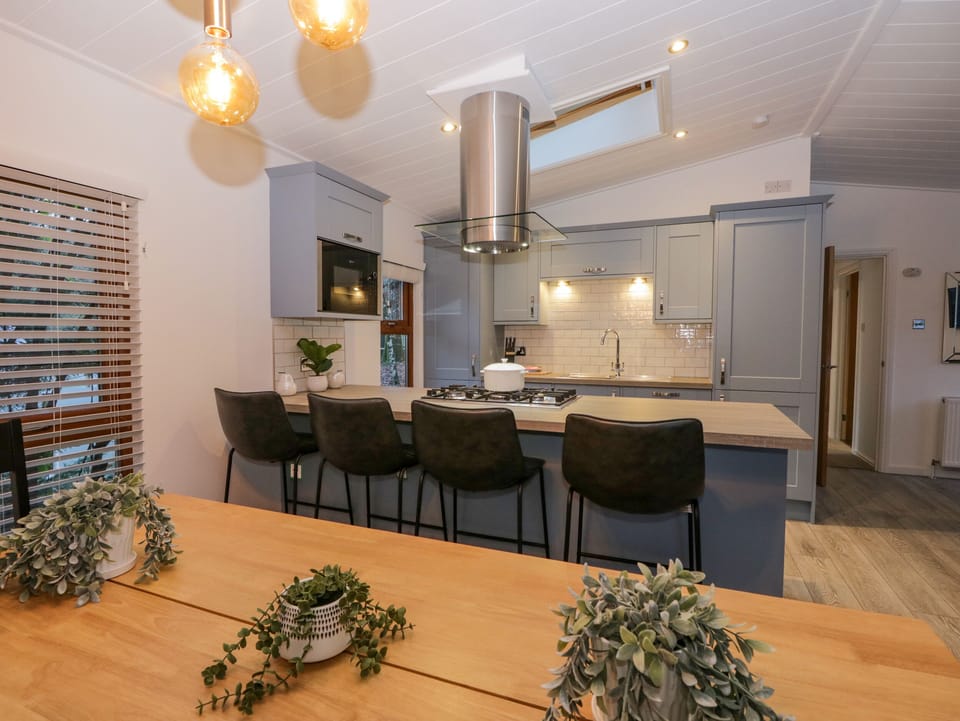 Fridge, dishwasher, electric kettle, toaster