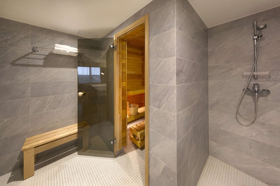 Combined shower/tub, free toiletries, hair dryer, towels