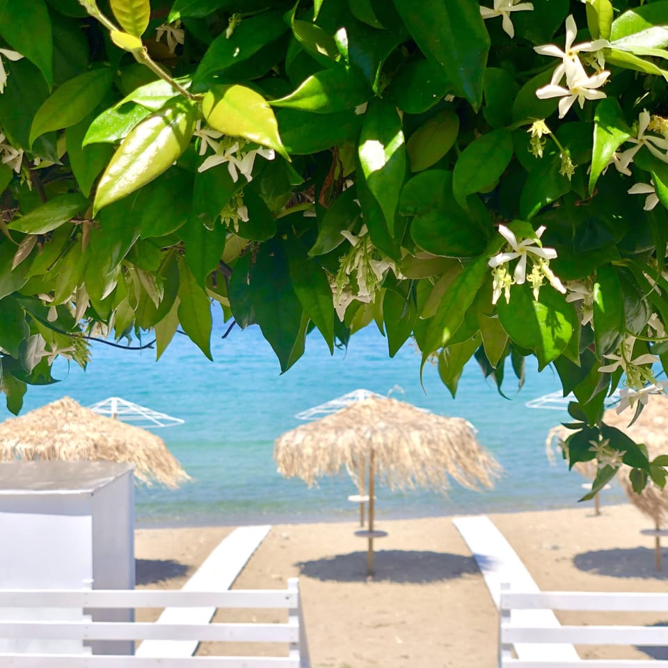 Private beach, sun loungers, beach umbrellas, beach towels