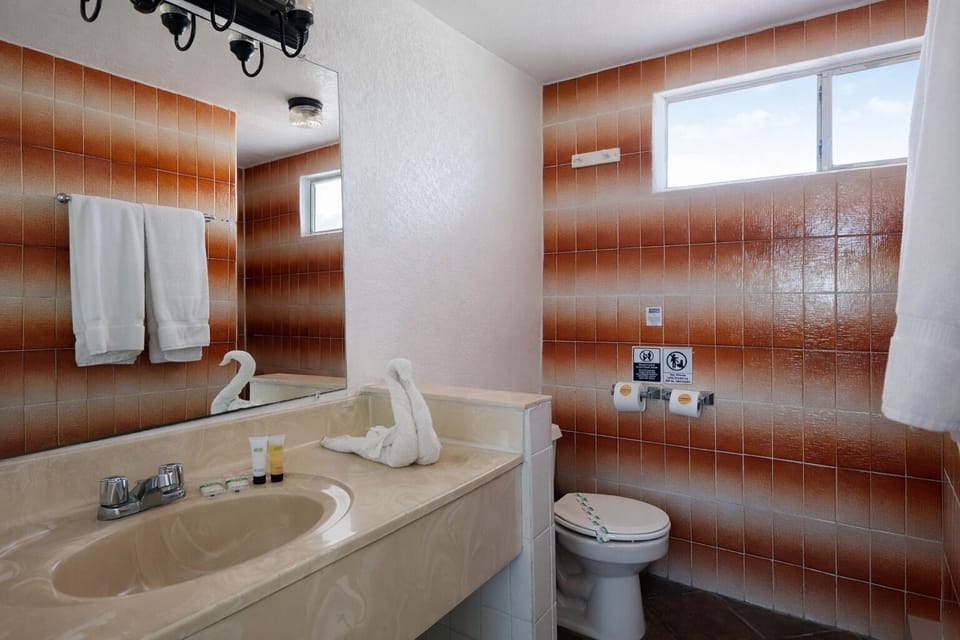 Standard Room, 1 King Bed | Bathroom | Shower, hair dryer, towels, soap