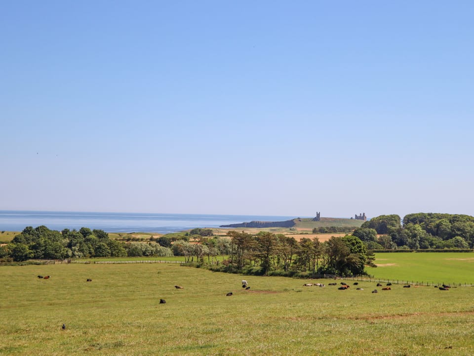 Cottage | Property grounds