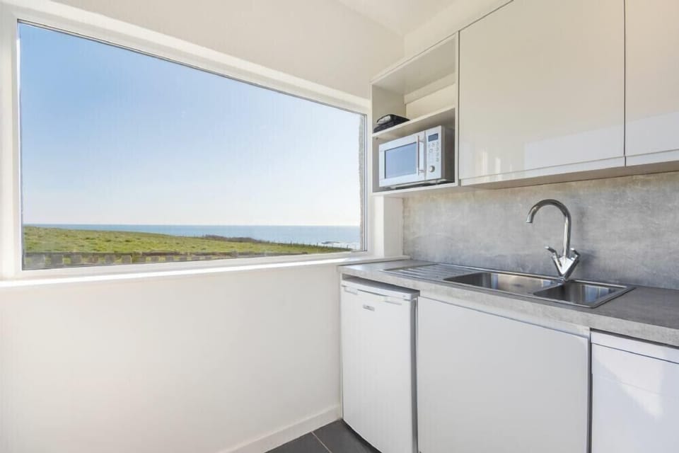 Fridge, dishwasher, cookware/dishes/utensils