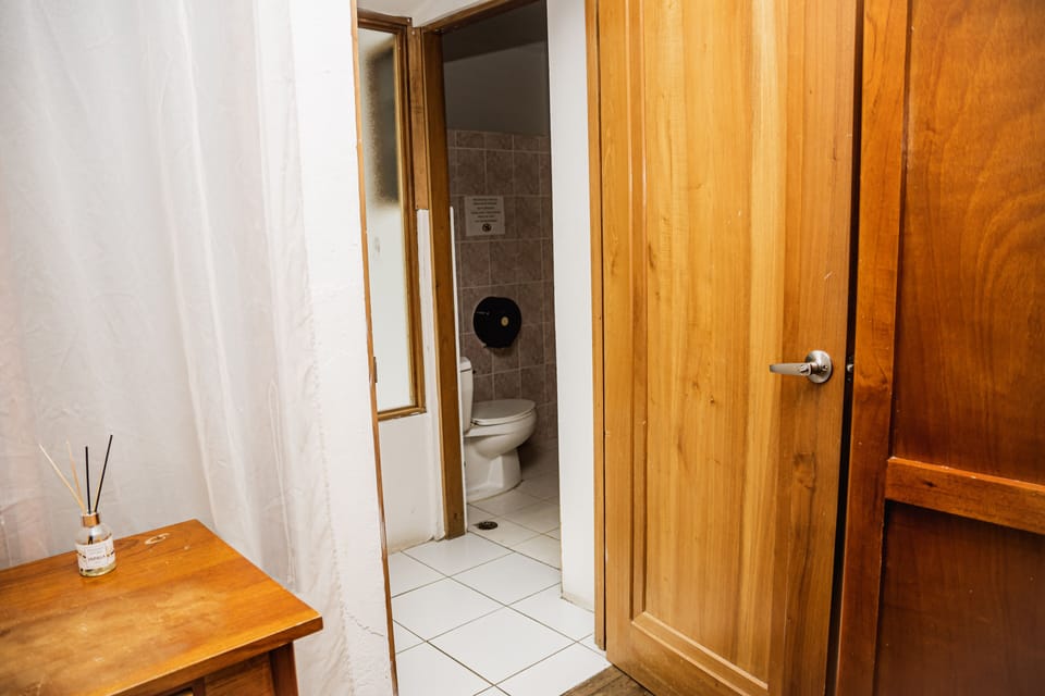 Hair dryer, bidet
