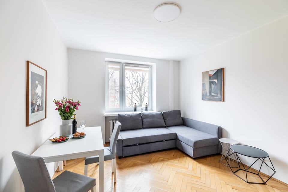 Comfort Apartment | Living room | TV