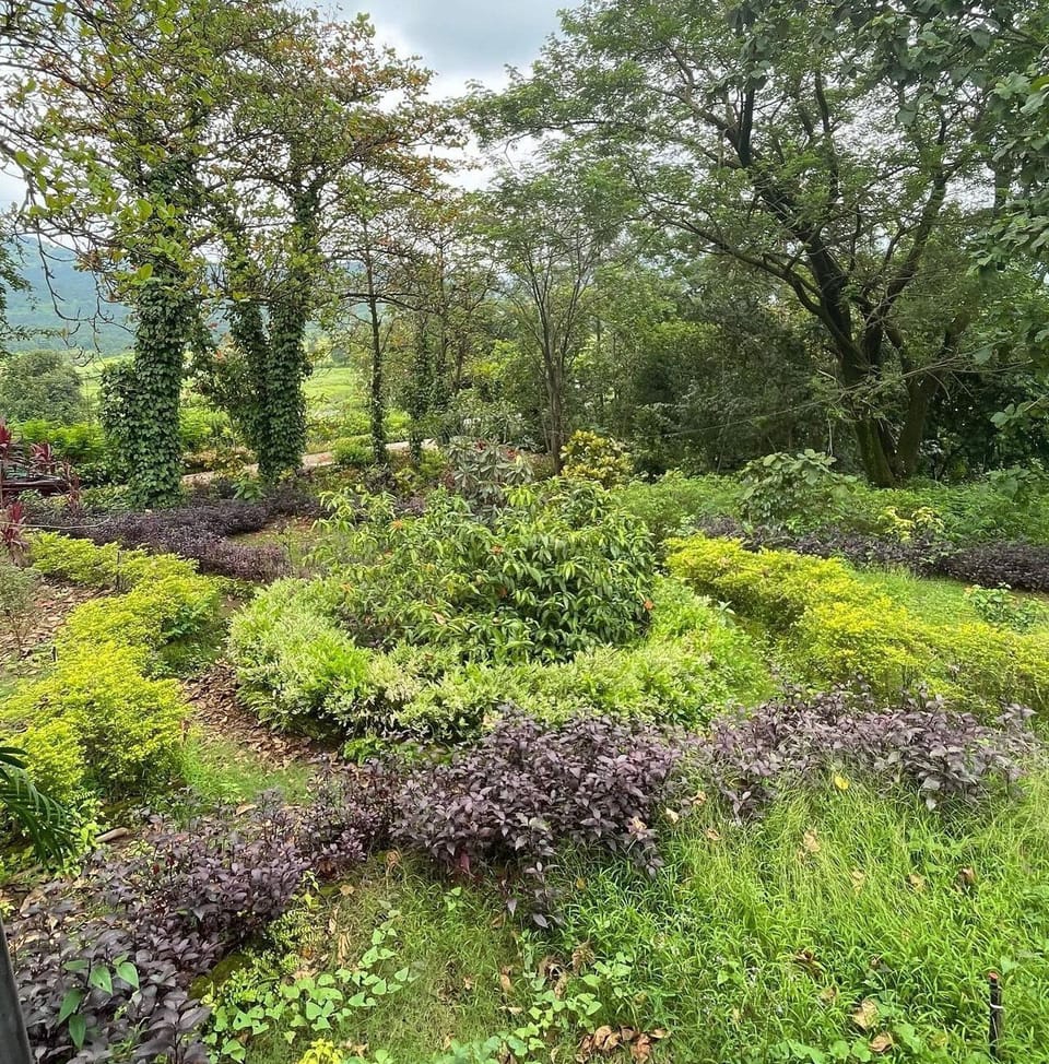 Garden view