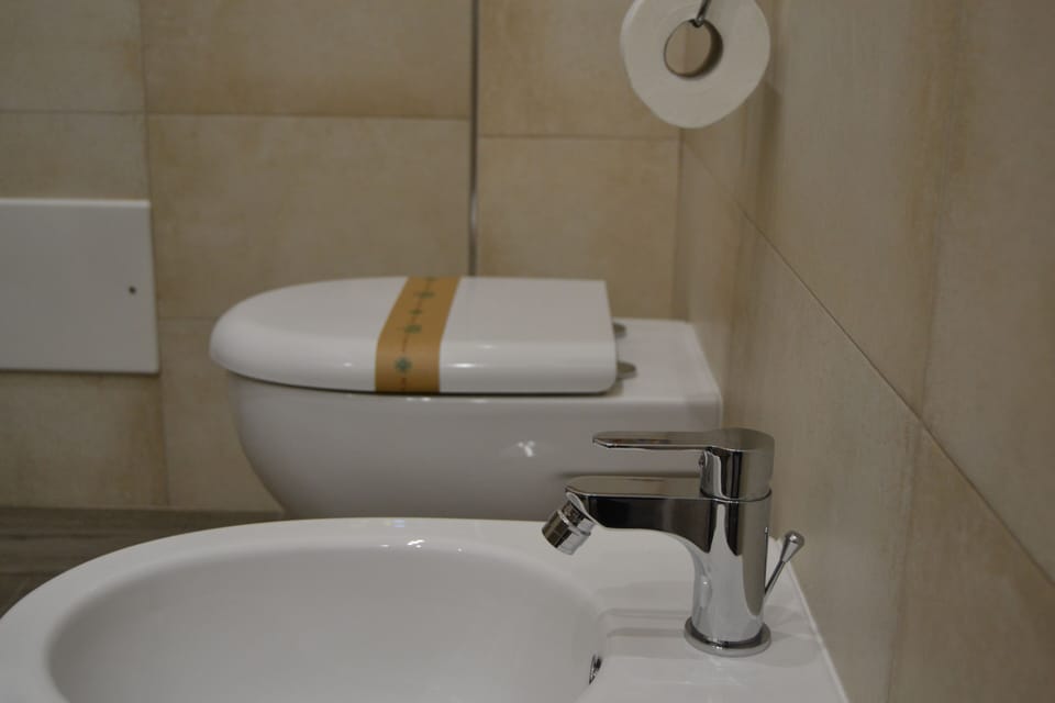 Deluxe Room | Bathroom | Shower, rainfall showerhead, free toiletries, hair dryer