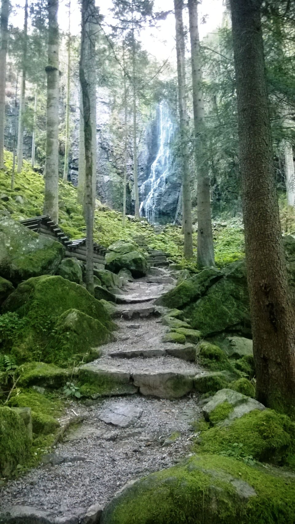 Hiking