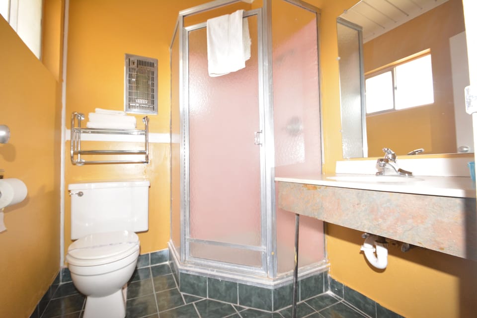 Combined shower/tub, hair dryer, towels