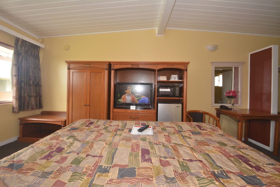 Standard Room, 1 King Bed, Non Smoking | Room amenity