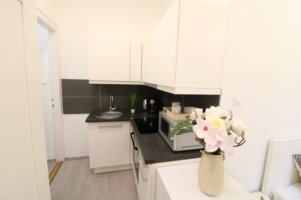 Classic Studio, 1 Queen Bed | Private kitchen | Fridge, microwave, oven, stovetop