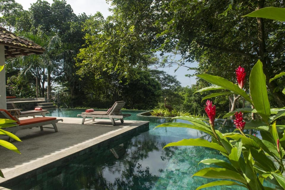 House | 6 bedrooms