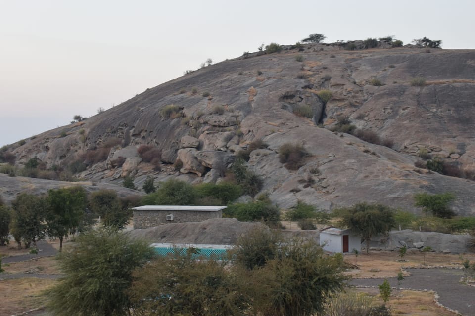Cottage Room with Plunge Pool | View from room