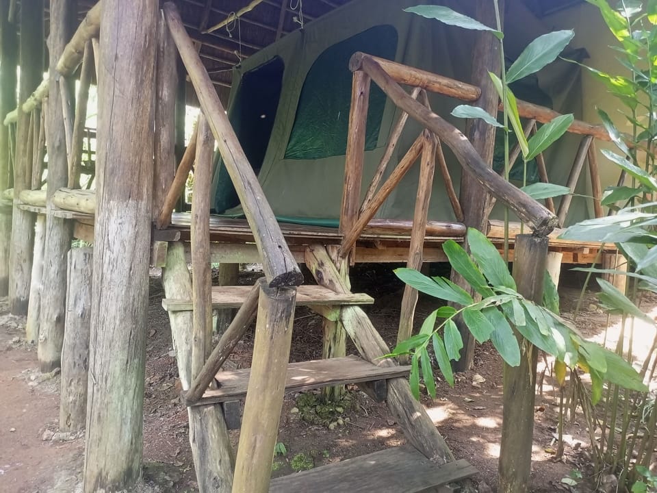 Standard Tent | Desk, laptop workspace, iron/ironing board, bed sheets