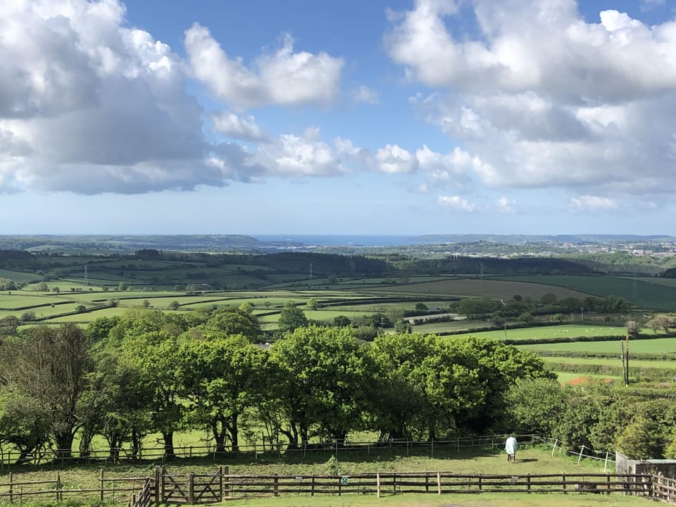 View from property